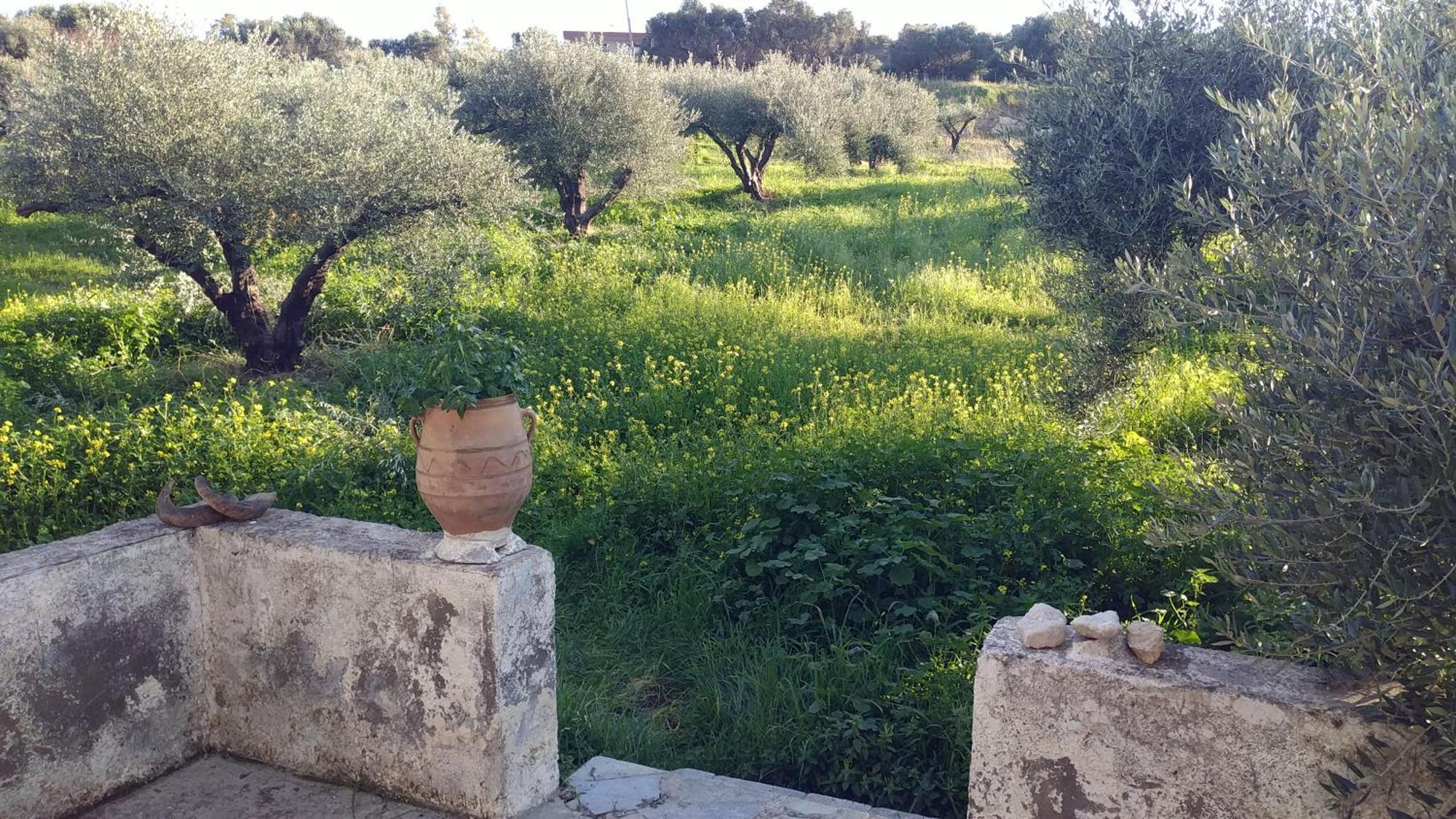 Villa Phyllia, Knossos, Crete Eksteriør bilde